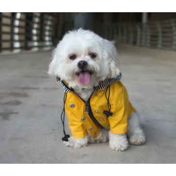 Boutons réfléchissants Poches Imperméable amovible pour animaux de compagnie